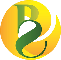 شرکت مهندسی سپنتا انرژی پارس